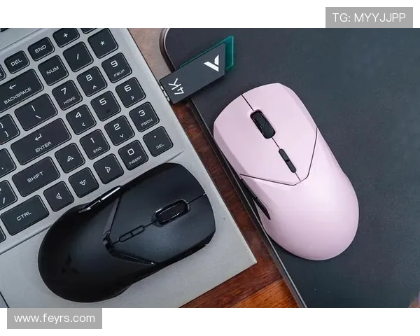 适合游戏玩家的高性能电脑鼠标推荐及购买指南